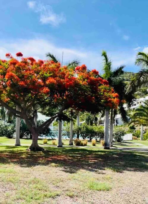 Ferienwohnung Escale Caraibes Anse Marcel Exterior foto